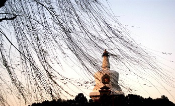 beijing-the-forbidden-city.jpg